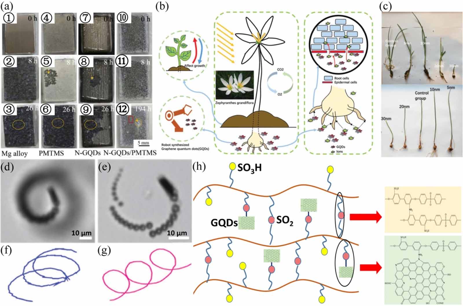 Graphene quantum dots: preparations, properties
