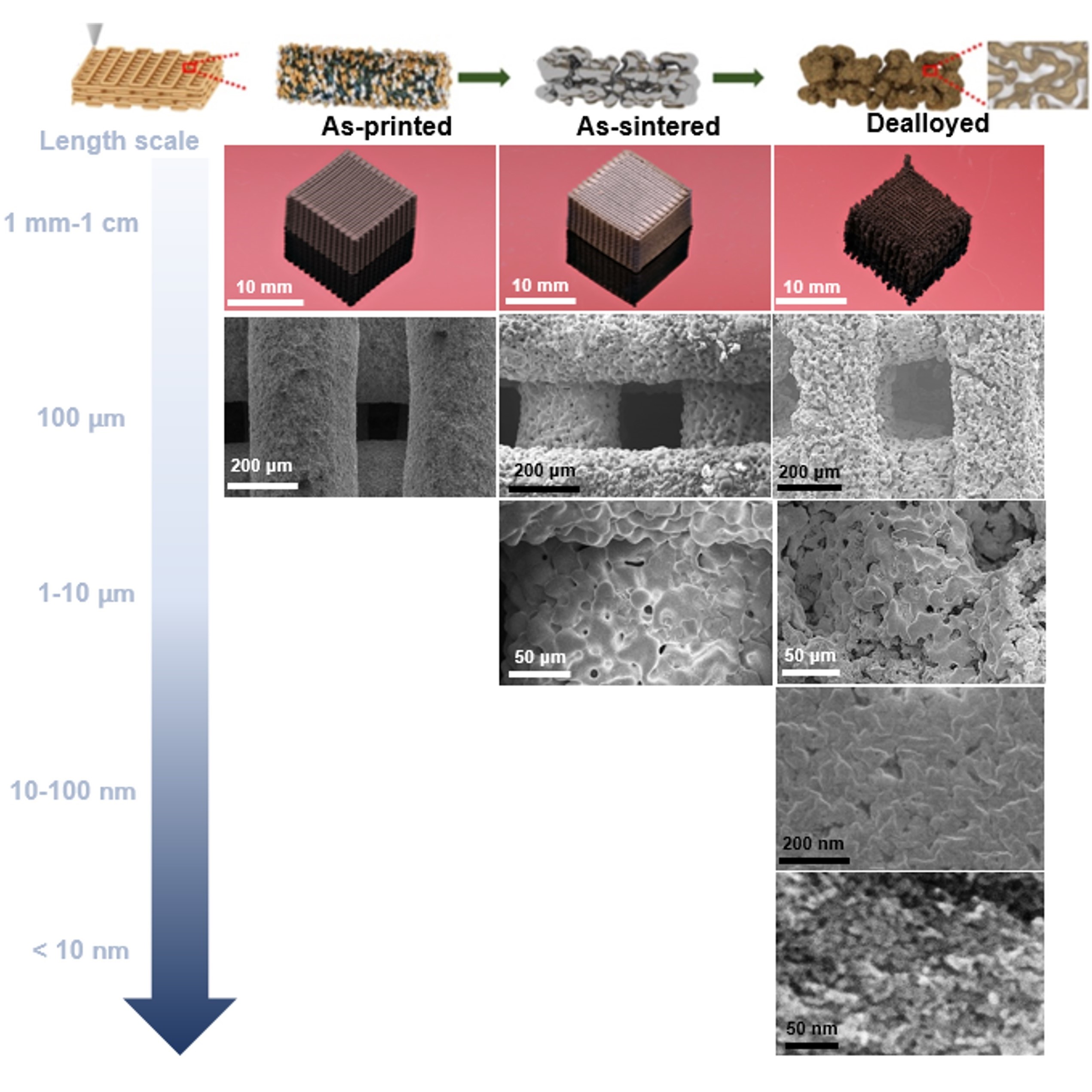 Additive manufacturing of multiscale NiFeMn multi-principal element alloys with tailored composition