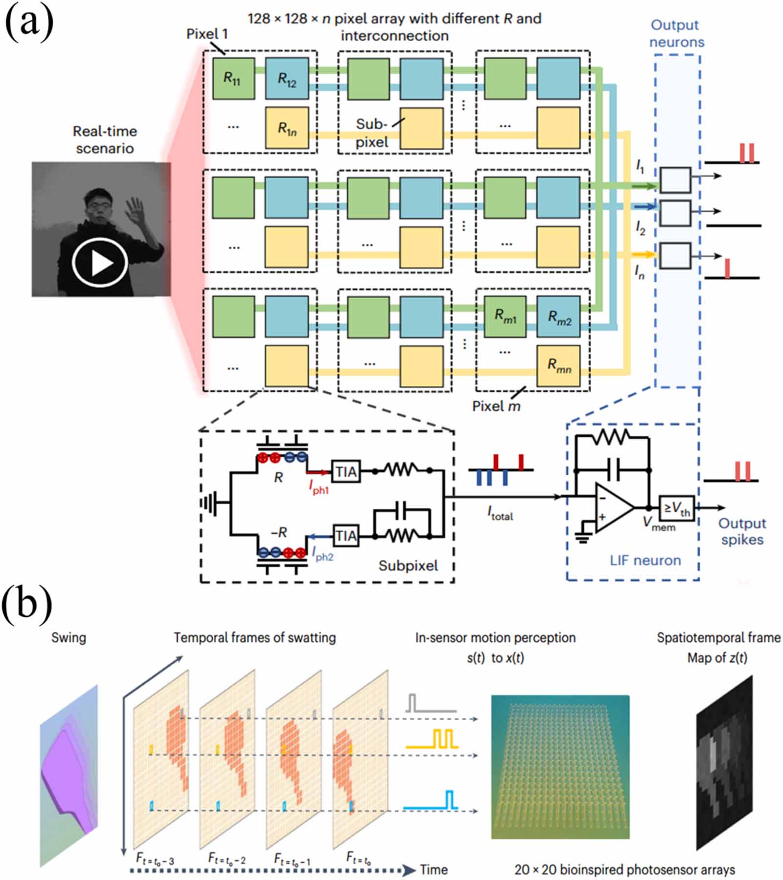 Scalable electronic and optoelectronic devices based on 2D TMDs