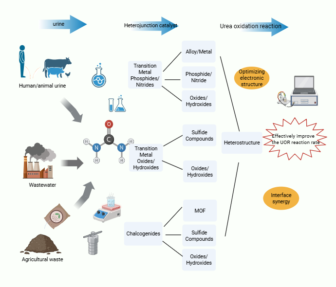 Heterojunction catalysts for urea oxidation reaction