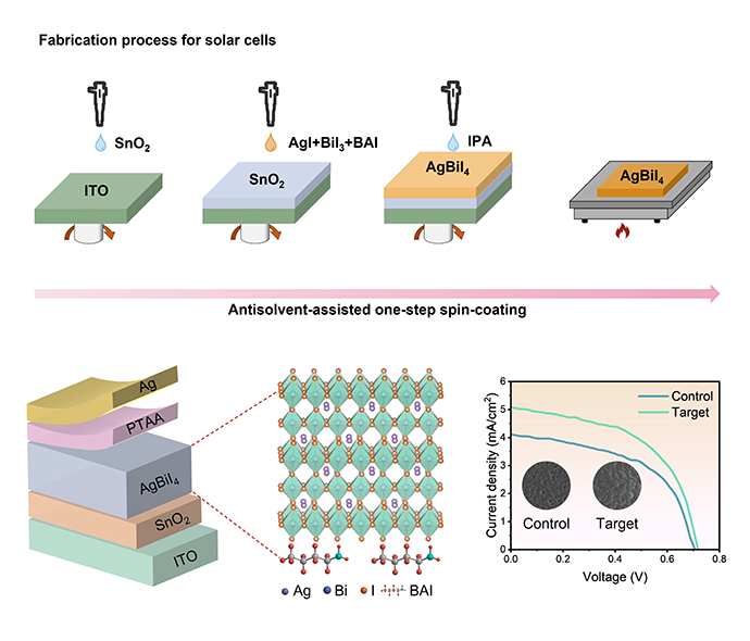 Ag management of rudorffites solar cells utilizing aliphatic ammonium