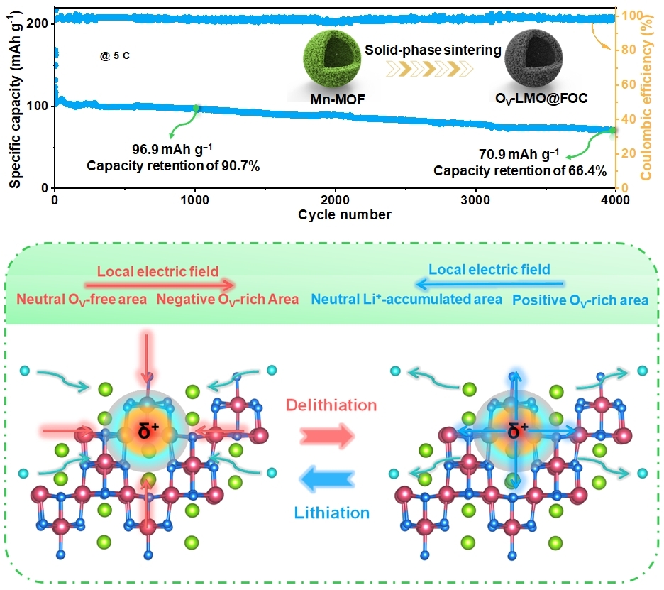 Vacancy-engineered LiMn2O4 embedded in dual-heteroatom-doped carbon via metal-organic framework-mediated synthesis towards longevous lithium ion battery